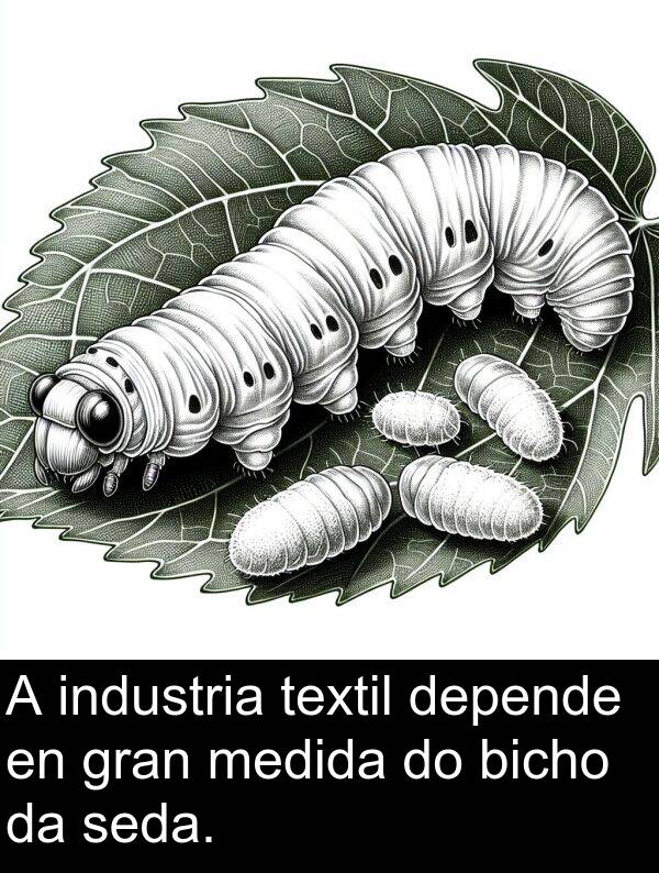 medida: A industria textil depende en gran medida do bicho da seda.