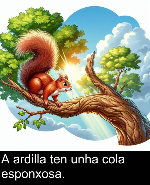 esponxosa: A ardilla ten unha cola esponxosa.