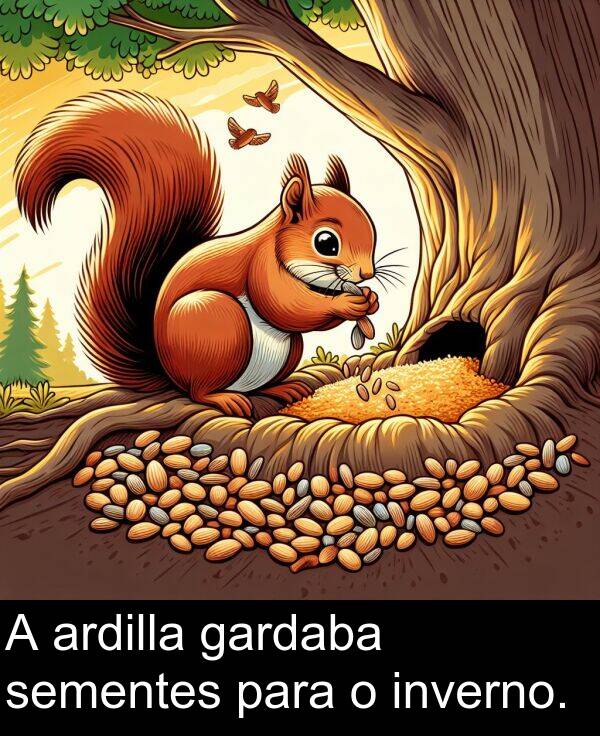 ardilla: A ardilla gardaba sementes para o inverno.