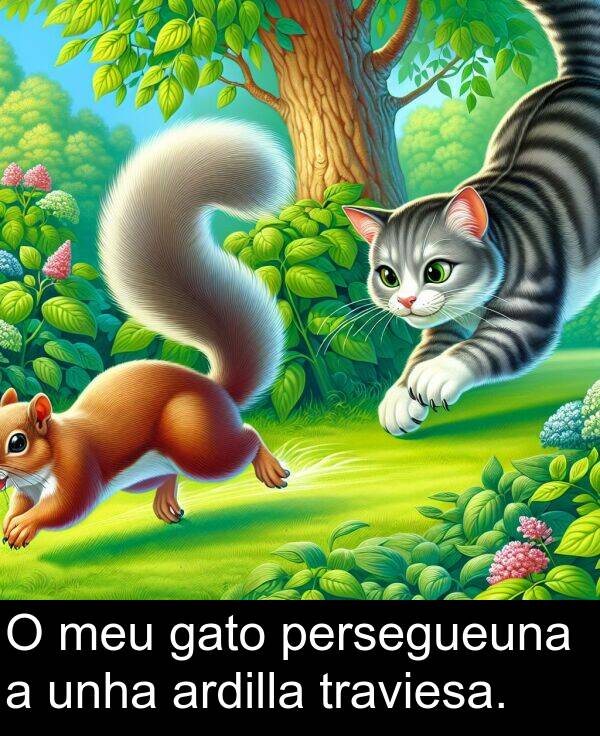 ardilla: O meu gato persegueuna a unha ardilla traviesa.