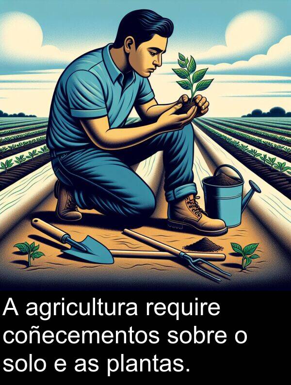agricultura: A agricultura require coñecementos sobre o solo e as plantas.