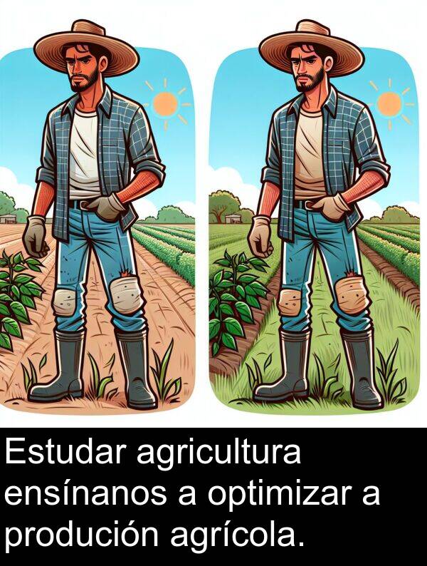 agricultura: Estudar agricultura ensínanos a optimizar a produción agrícola.