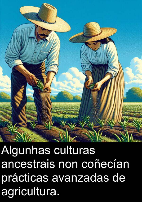 agricultura: Algunhas culturas ancestrais non coñecían prácticas avanzadas de agricultura.