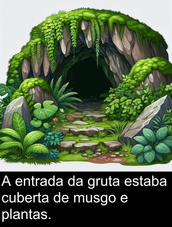 cuberta: A entrada da gruta estaba cuberta de musgo e plantas.
