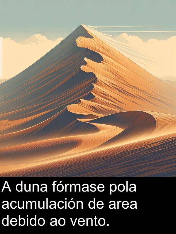 fórmase: A duna fórmase pola acumulación de area debido ao vento.