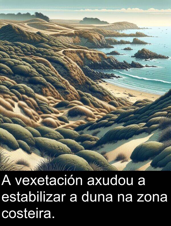 duna: A vexetación axudou a estabilizar a duna na zona costeira.