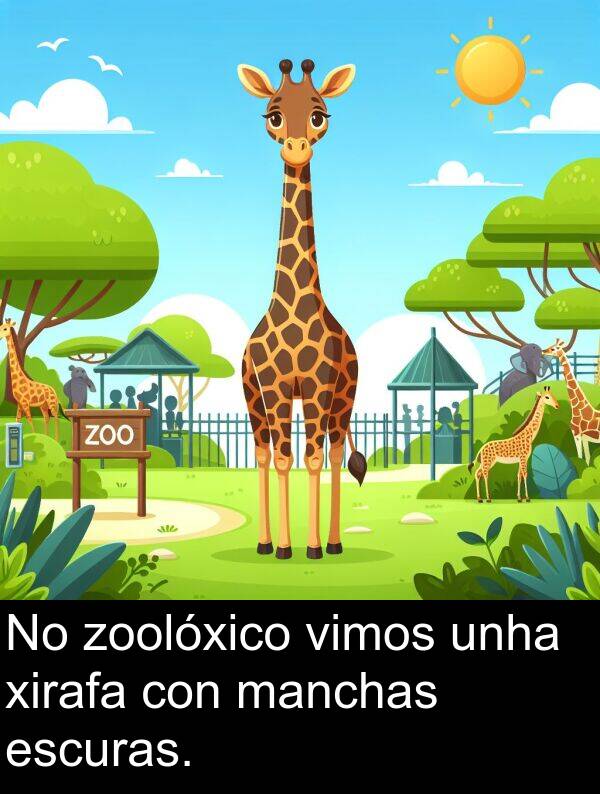 escuras: No zoolóxico vimos unha xirafa con manchas escuras.