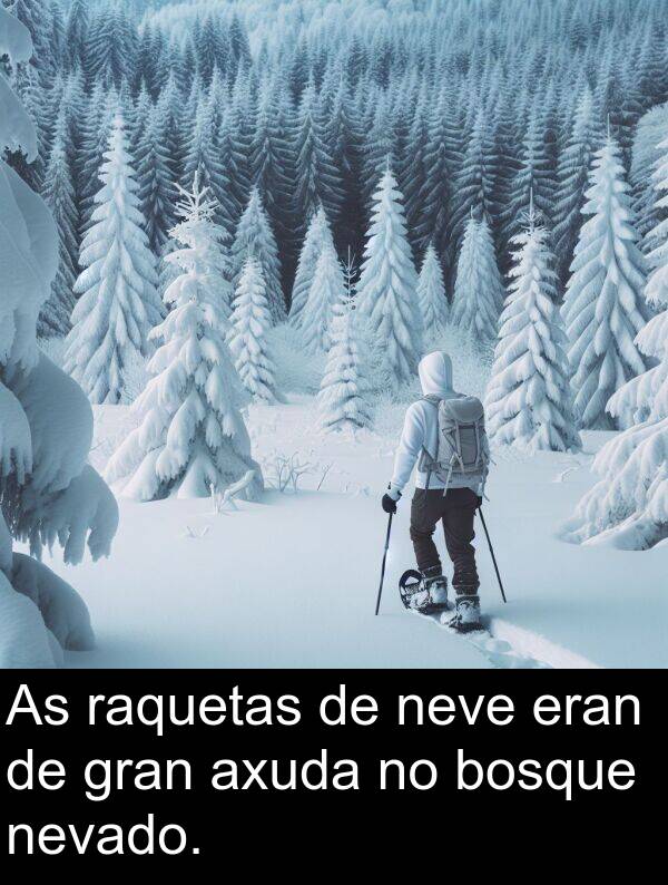raquetas: As raquetas de neve eran de gran axuda no bosque nevado.