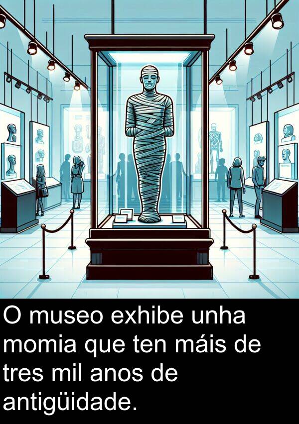 exhibe: O museo exhibe unha momia que ten máis de tres mil anos de antigüidade.