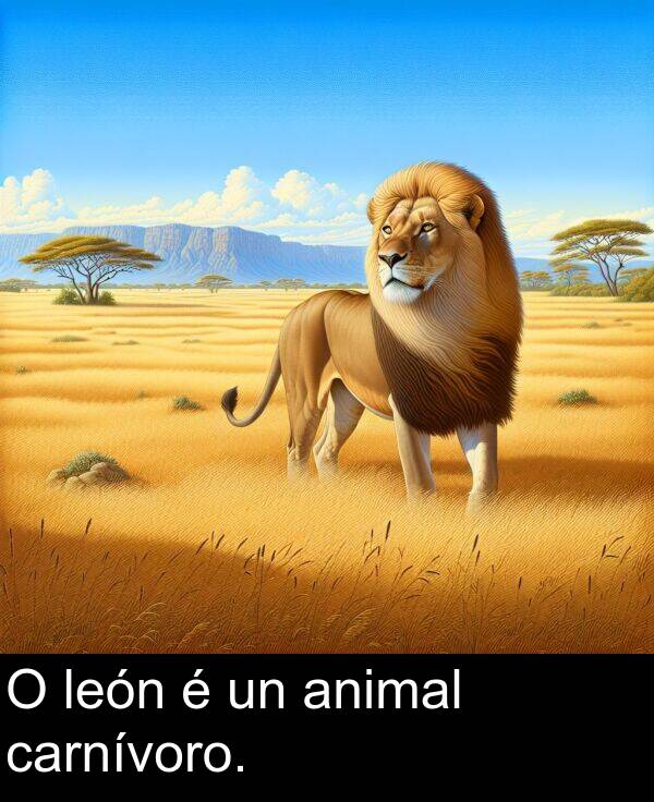 carnívoro: O león é un animal carnívoro.