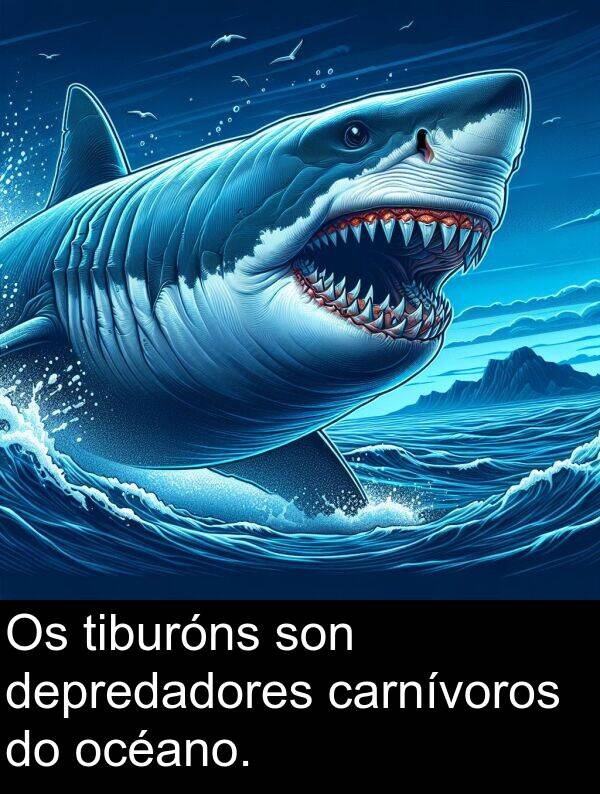 son: Os tiburóns son depredadores carnívoros do océano.