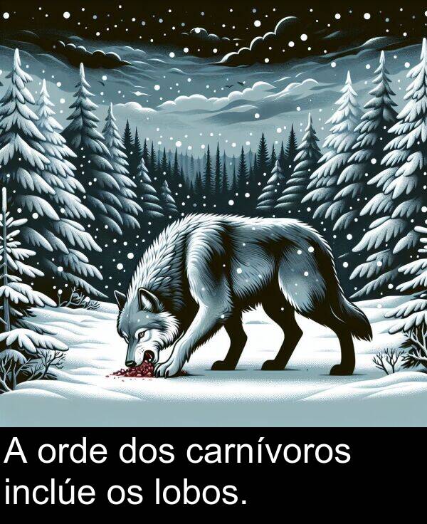 dos: A orde dos carnívoros inclúe os lobos.