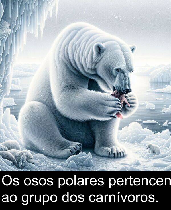 dos: Os osos polares pertencen ao grupo dos carnívoros.