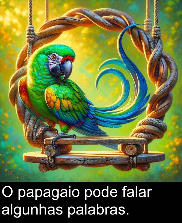 algunhas: O papagaio pode falar algunhas palabras.