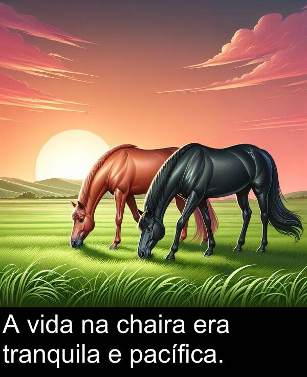vida: A vida na chaira era tranquila e pacífica.