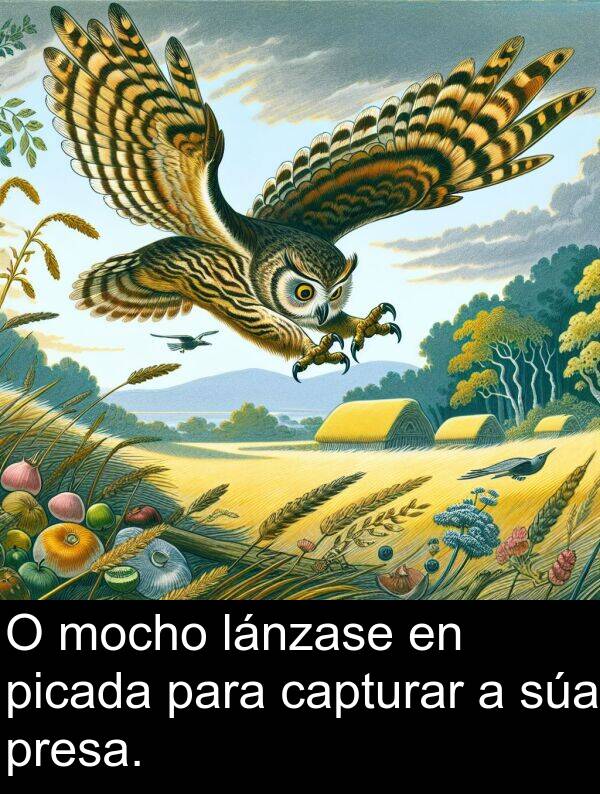 mocho: O mocho lánzase en picada para capturar a súa presa.