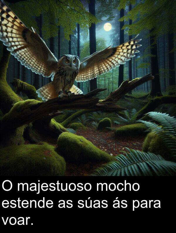 estende: O majestuoso mocho estende as súas ás para voar.
