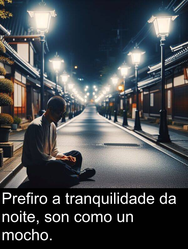 son: Prefiro a tranquilidade da noite, son como un mocho.