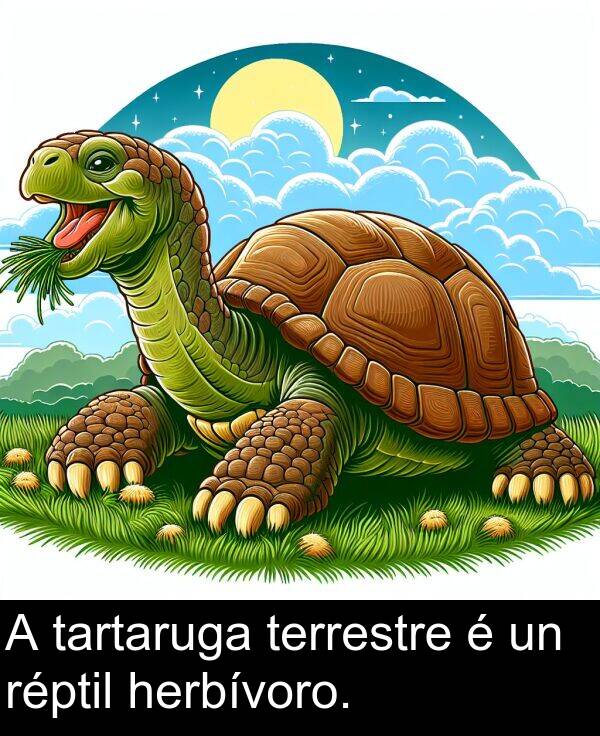 réptil: A tartaruga terrestre é un réptil herbívoro.