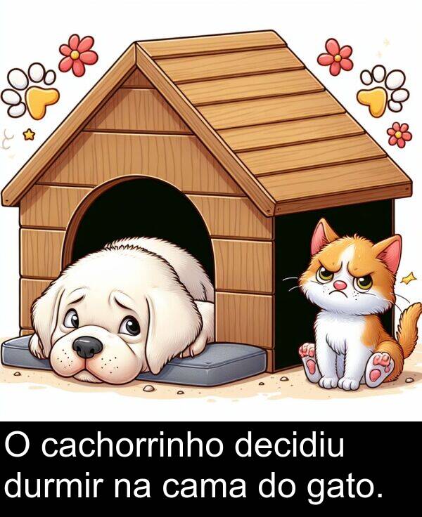 durmir: O cachorrinho decidiu durmir na cama do gato.