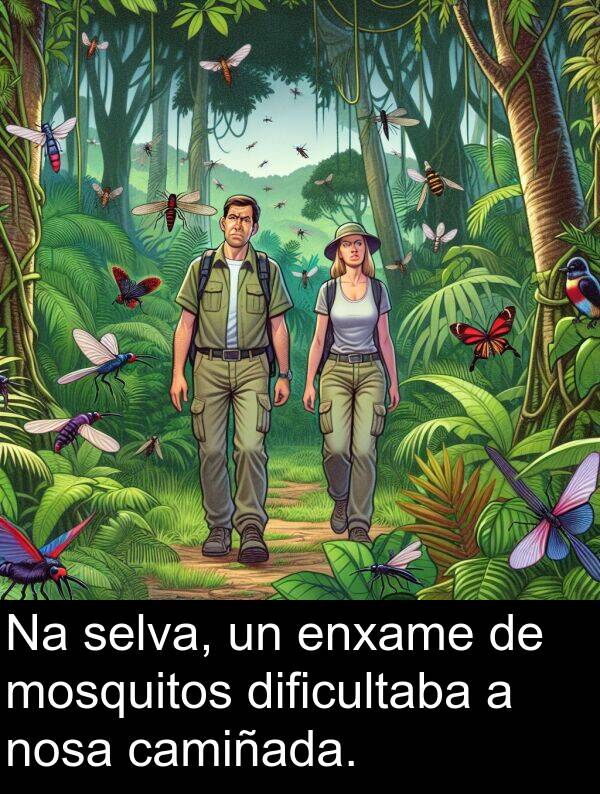 dificultaba: Na selva, un enxame de mosquitos dificultaba a nosa camiñada.