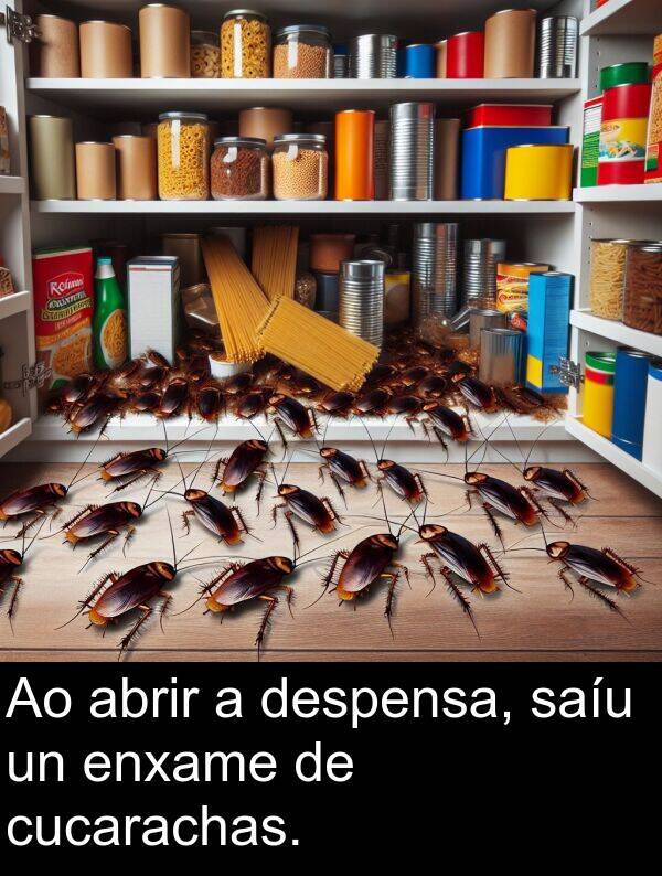 despensa: Ao abrir a despensa, saíu un enxame de cucarachas.