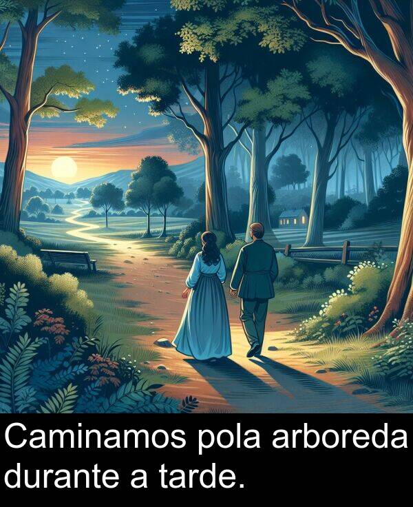 durante: Caminamos pola arboreda durante a tarde.