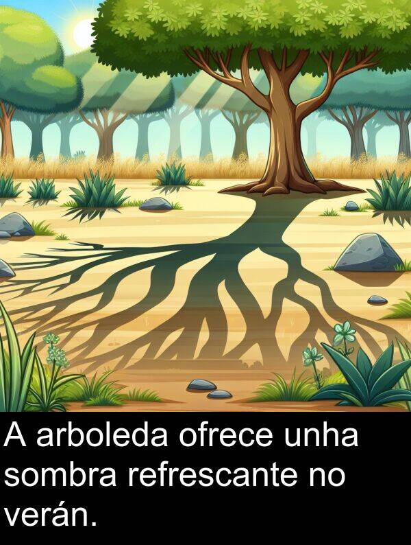 refrescante: A arboleda ofrece unha sombra refrescante no verán.