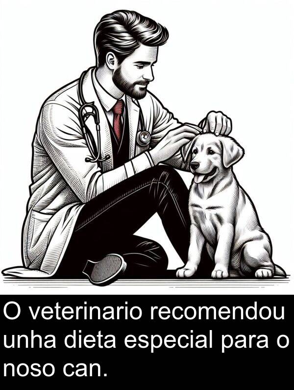 recomendou: O veterinario recomendou unha dieta especial para o noso can.