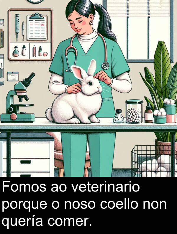 porque: Fomos ao veterinario porque o noso coello non quería comer.