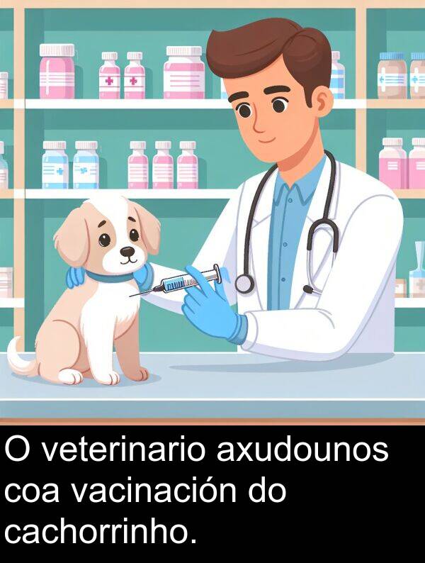 veterinario: O veterinario axudounos coa vacinación do cachorrinho.