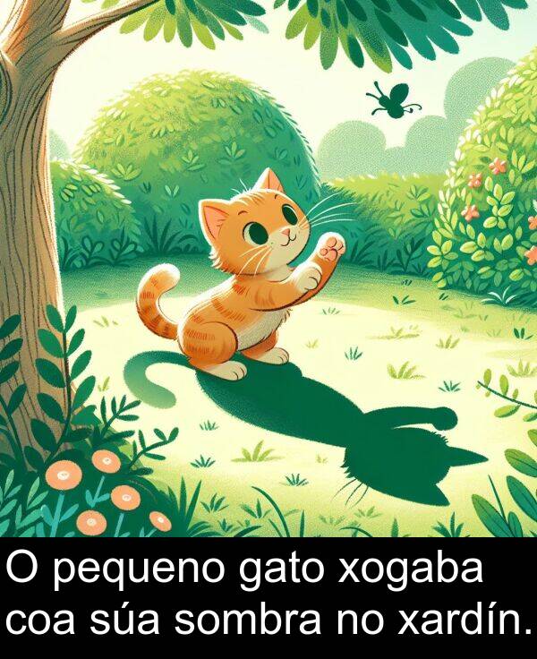 sombra: O pequeno gato xogaba coa súa sombra no xardín.