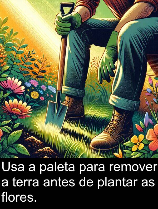 terra: Usa a paleta para remover a terra antes de plantar as flores.
