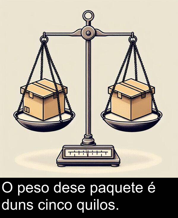 peso: O peso dese paquete é duns cinco quilos.