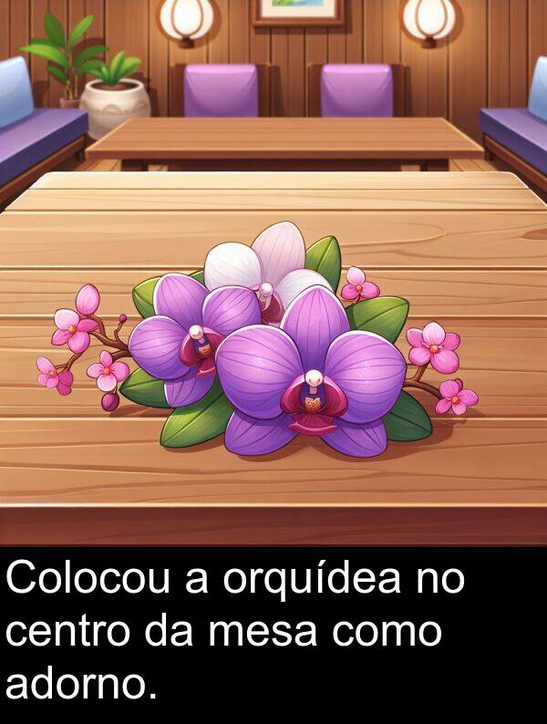 como: Colocou a orquídea no centro da mesa como adorno.