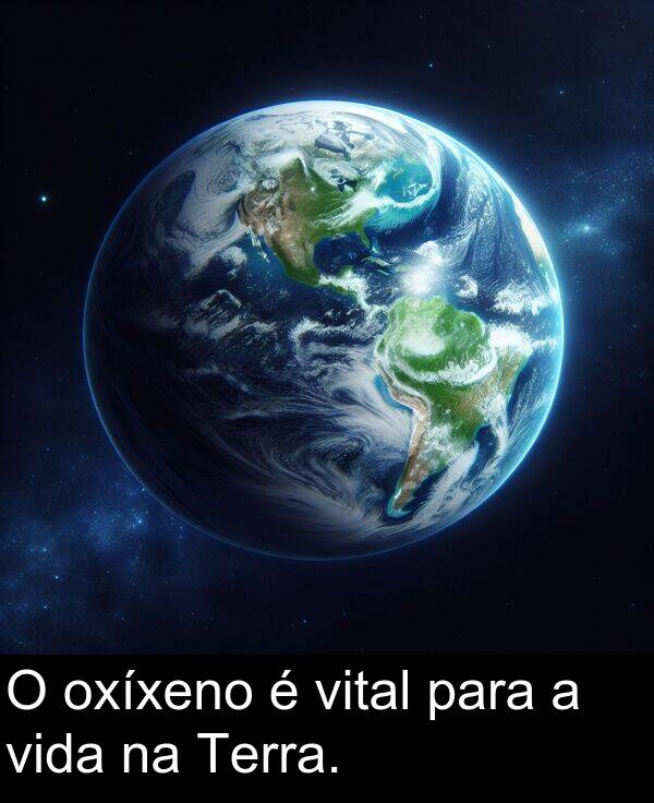 vida: O oxíxeno é vital para a vida na Terra.