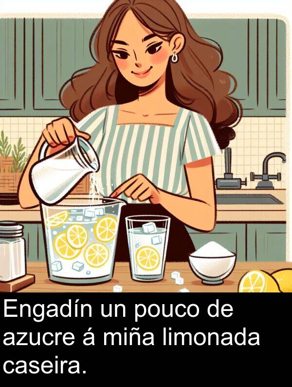 caseira: Engadín un pouco de azucre á miña limonada caseira.