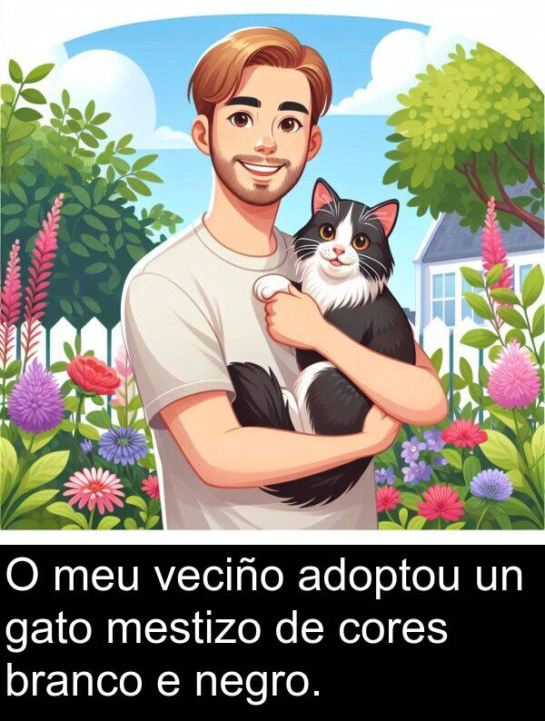 cores: O meu veciño adoptou un gato mestizo de cores branco e negro.