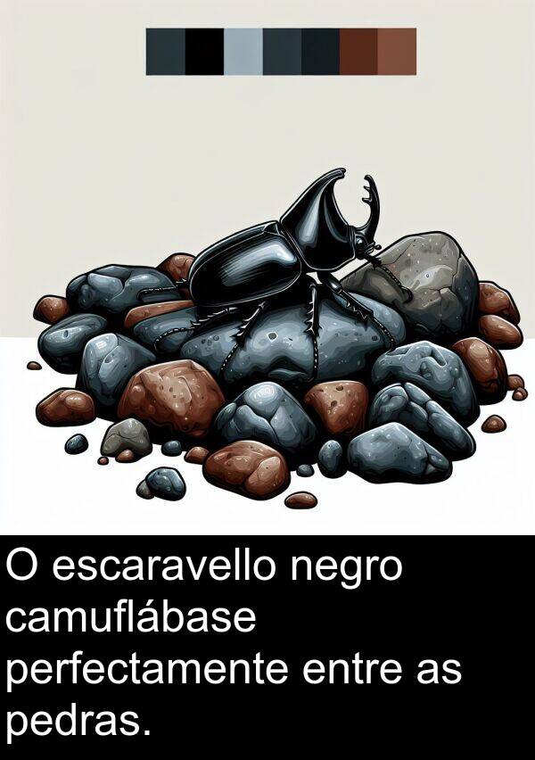 perfectamente: O escaravello negro camuflábase perfectamente entre as pedras.