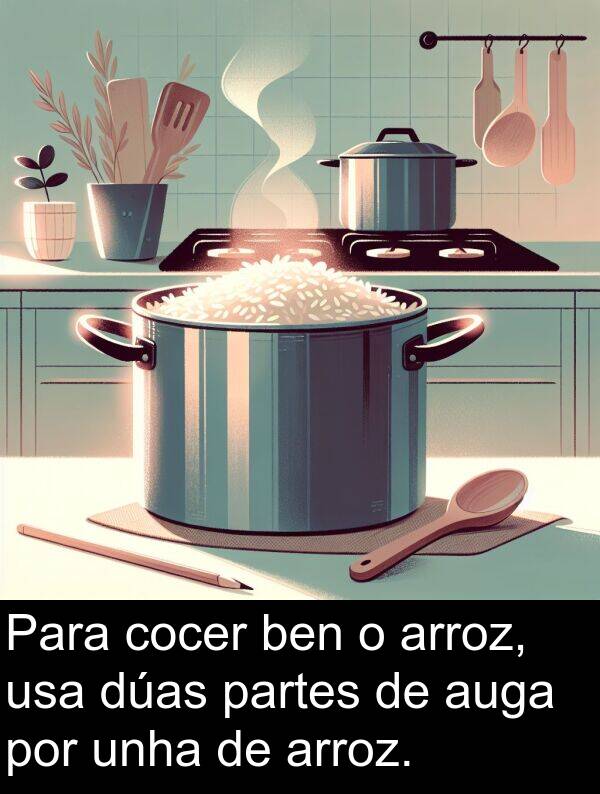 arroz: Para cocer ben o arroz, usa dúas partes de auga por unha de arroz.