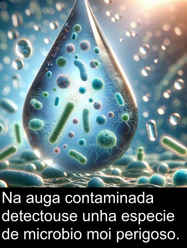 especie: Na auga contaminada detectouse unha especie de microbio moi perigoso.