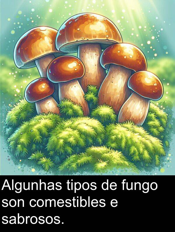 fungo: Algunhas tipos de fungo son comestibles e sabrosos.