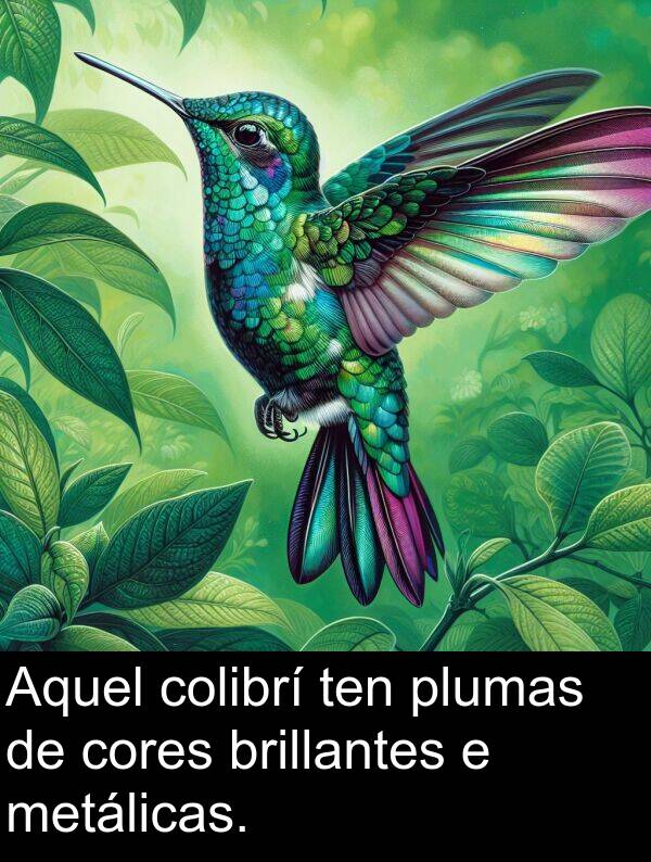cores: Aquel colibrí ten plumas de cores brillantes e metálicas.