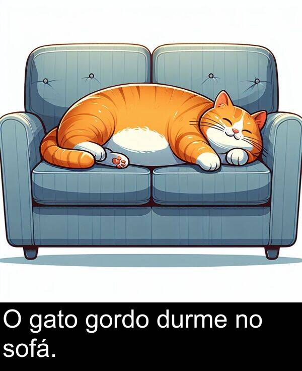 durme: O gato gordo durme no sofá.