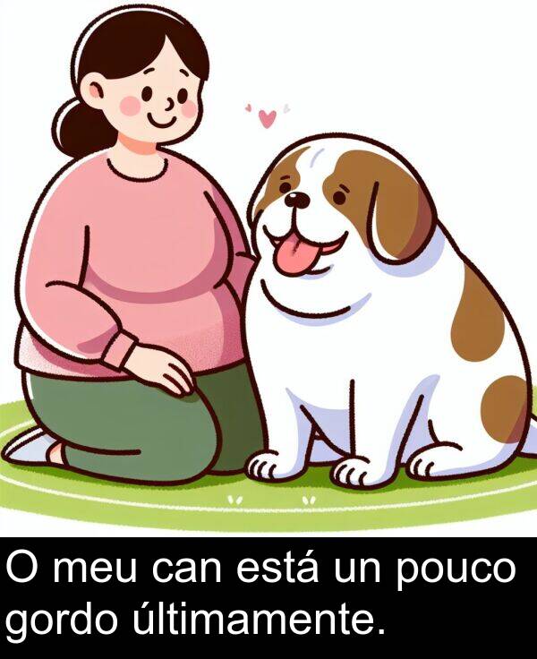gordo: O meu can está un pouco gordo últimamente.