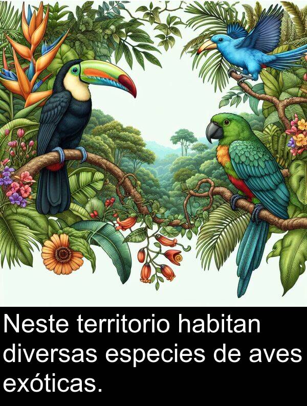 especies: Neste territorio habitan diversas especies de aves exóticas.