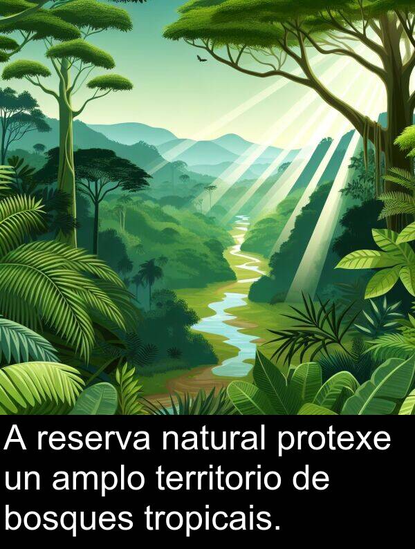 reserva: A reserva natural protexe un amplo territorio de bosques tropicais.