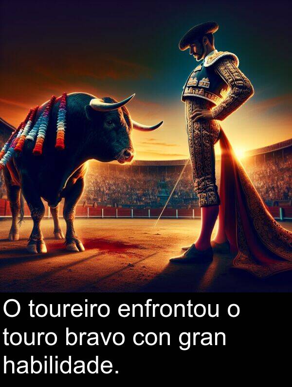 bravo: O toureiro enfrontou o touro bravo con gran habilidade.