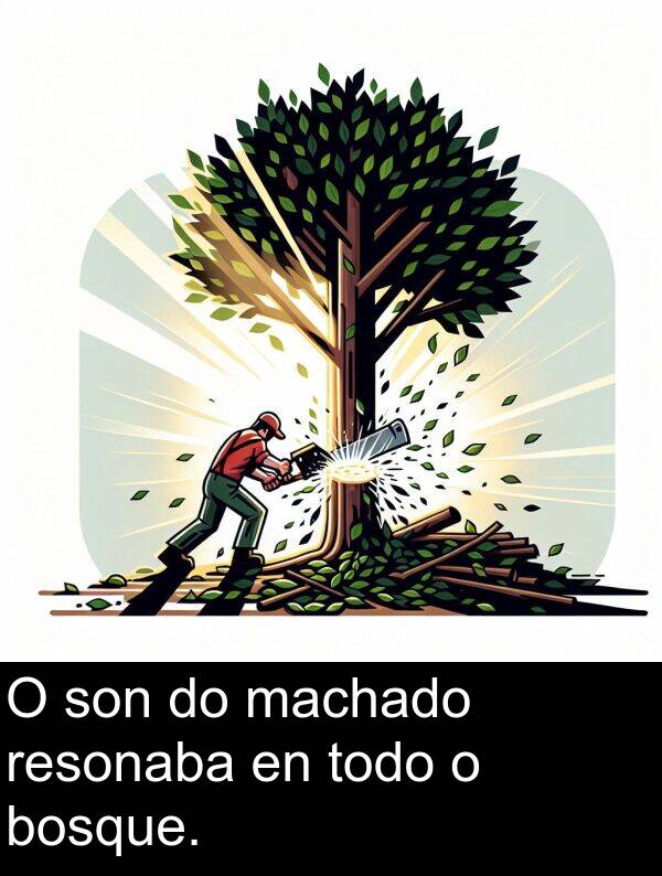 resonaba: O son do machado resonaba en todo o bosque.