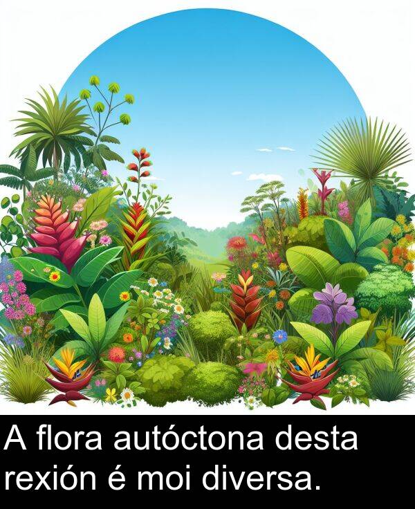 flora: A flora autóctona desta rexión é moi diversa.